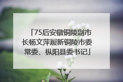 75后安徽铜陵副市长杨文萍履新铜陵市委常委、枞阳县委书记