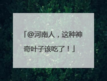 @河南人，这种神奇叶子该吃了！