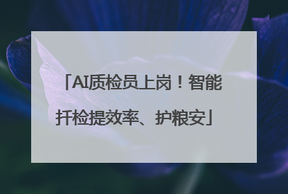 AI质检员上岗！智能扦检提效率、护粮安