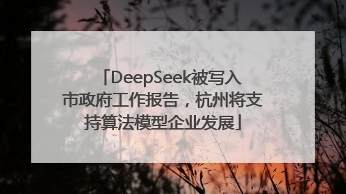 DeepSeek被写入市政府工作报告，杭州将支持算法模型企业发展