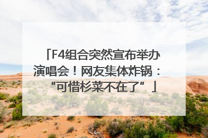 F4组合突然宣布举办演唱会！网友集体炸锅：“可惜杉菜不在了”