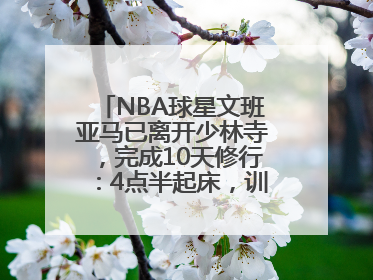 NBA球星文班亚马已离开少林寺，完成10天修行：4点半起床，训练强度高于武僧