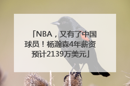NBA，又有了中国球员！杨瀚森4年薪资预计2139万美元